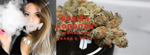 молекула духа Коряжма