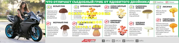 PSILOCYBIN Костерёво