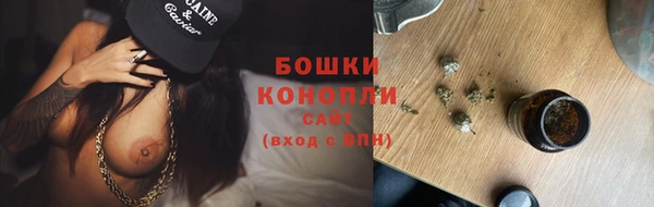 PSILOCYBIN Костерёво