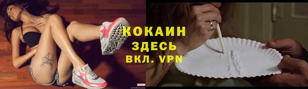 молекула духа Коряжма