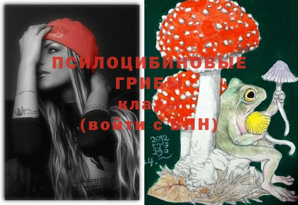 PSILOCYBIN Костерёво