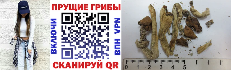 Купить закладки  Медногорск  Псилоцибиновые грибы ЛСД 